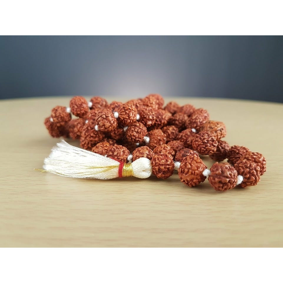 5-Augen-Rudraksha-Mala - für Balancierung und Kraft -mittel